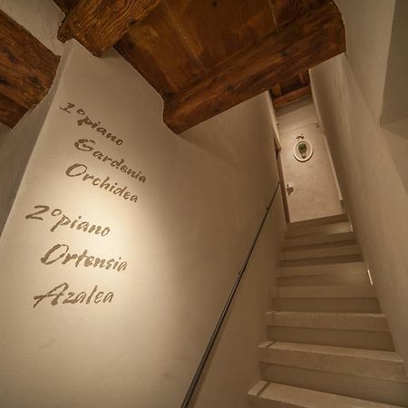 Dimora Corteinfiore Trani Eksteriør bilde